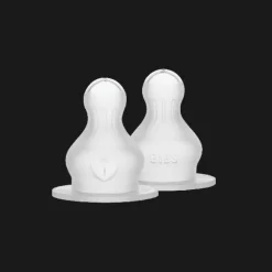 BIBS Flesspeen Rond - Fast Flow - 2 Pack - Silicone