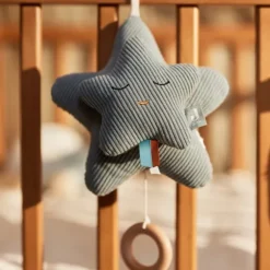 Jollein Muziekhanger Star - Sea Green