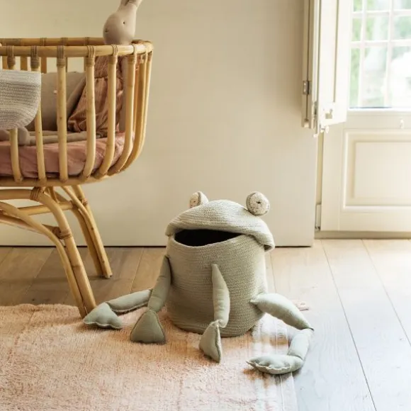 Lorena Canals Fred The Frog