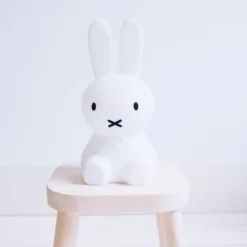 Mr Maria Nijntje Lamp - 15 cm